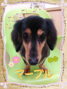 2012-10-12_18.11.25.jpg