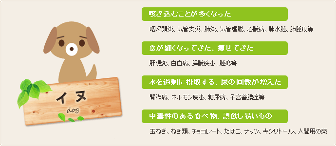 犬：咳き込むことが多くなった/食が細くなってきた、痩せてきた/水を過剰に摂取する、尿の回数が増えた/玉ねぎ、ねぎ類、チョコレート、たばこ、ナッツ、キシリトール、人間用の薬に注意