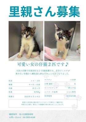 里親さん募集.jpg.jpg