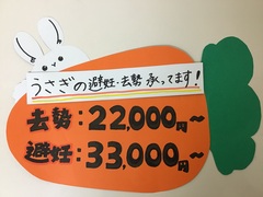 IMG_1206.jpg