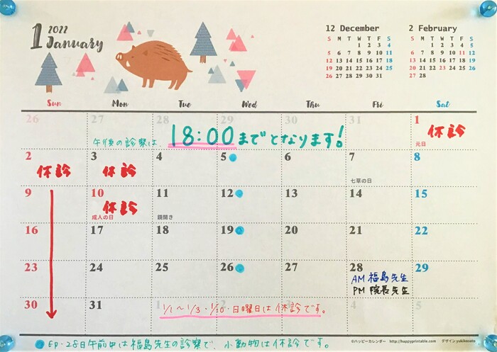 IMG-0865.jpg